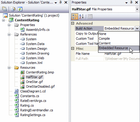 The Solution Explorer Showing an Embedded Resource